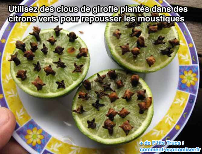 Utilisez des clous de girofle plantés dans des citrons verts pour repousser les moustiques